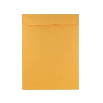 Salisbury VAMC 6 x 9.5 Manila Envelope